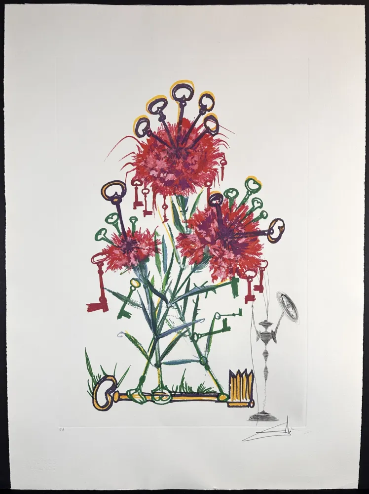 Grabado Dali - Florals Carnation Don Quixote