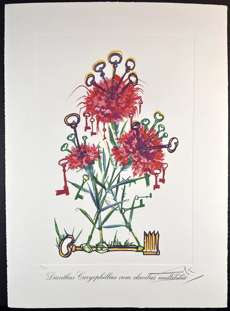 Grabado Dali - Florals Carnation Keys