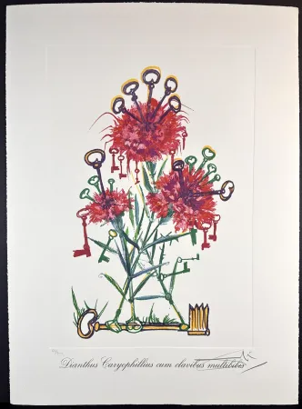 Grabado Dali - Florals Carnation Keys
