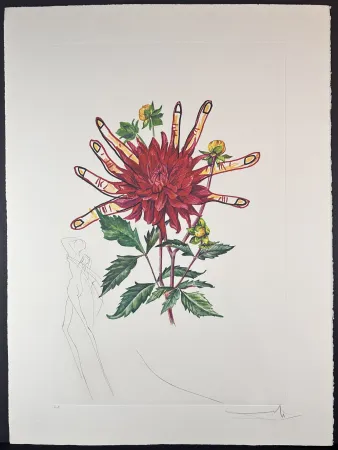 Grabado Dali - Florals Dahlia (+ Fingers) Venus
