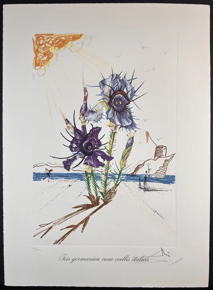 Grabado Dali - Florals Iris of Dali's Youth