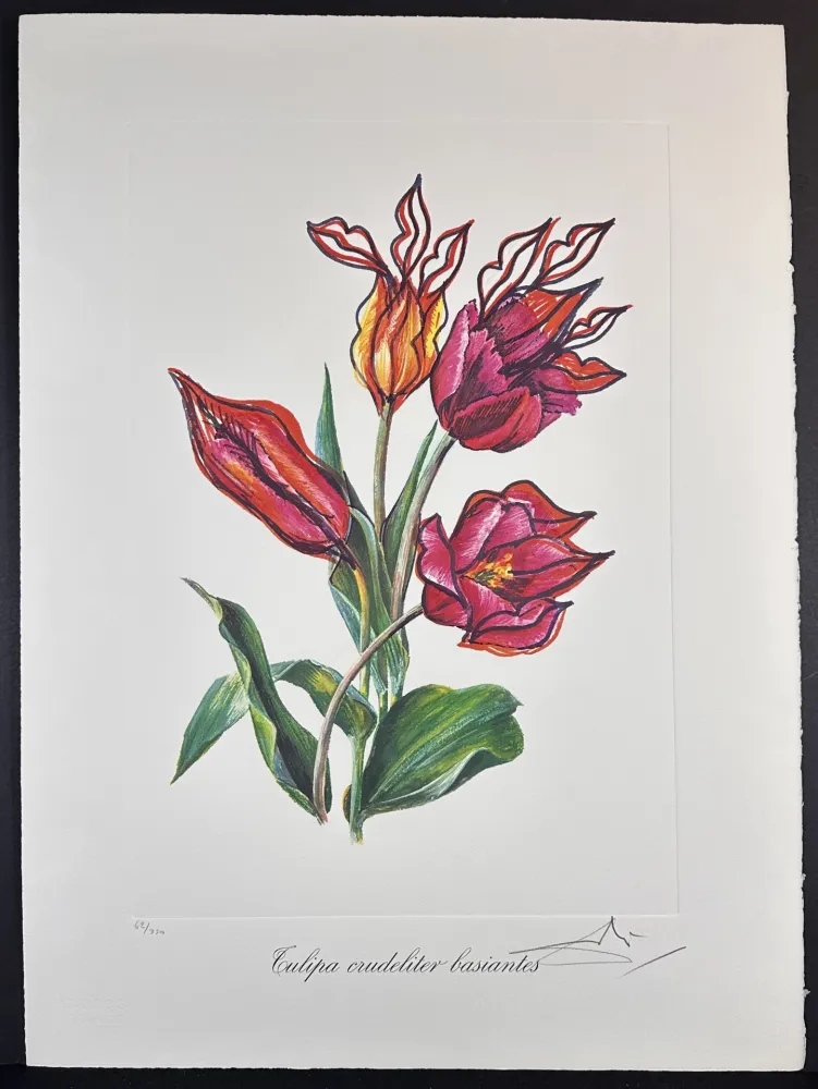 Grabado Dali - Florals Kissing Tulips