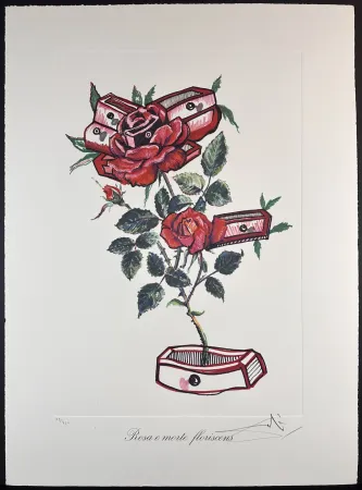 Grabado Dali - Florals Roses of Memory