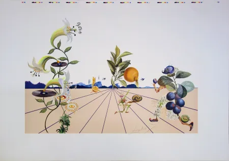 Litografía Dali - Flordali
