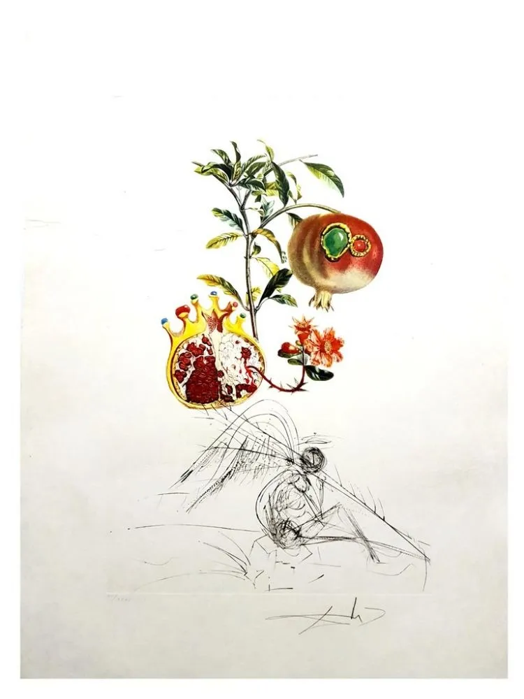 Grabado Dali - Flordali - Grenade et l'Ange
