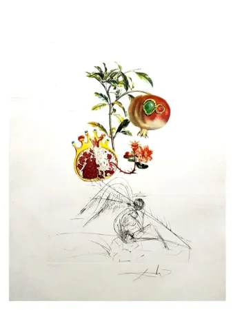 Grabado Dali - Flordali - Grenade et l'Ange