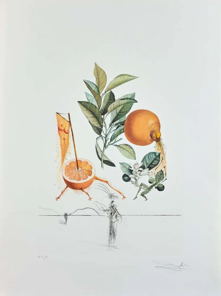 Grabado Dali - Flordali - Pamplemousse Erotique