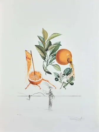 Grabado Dali - Flordali - Pamplemousse Erotique