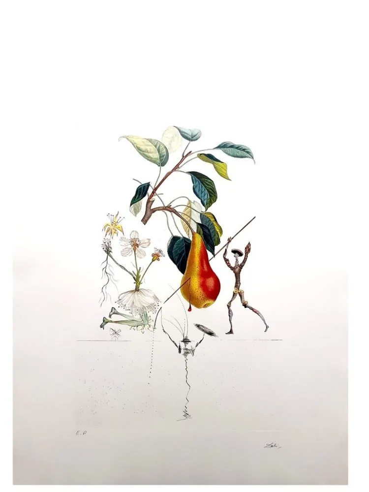 Grabado Dali - Flordali - Poire Don Quixote