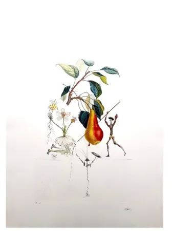 Grabado Dali - Flordali - Poire Don Quixote