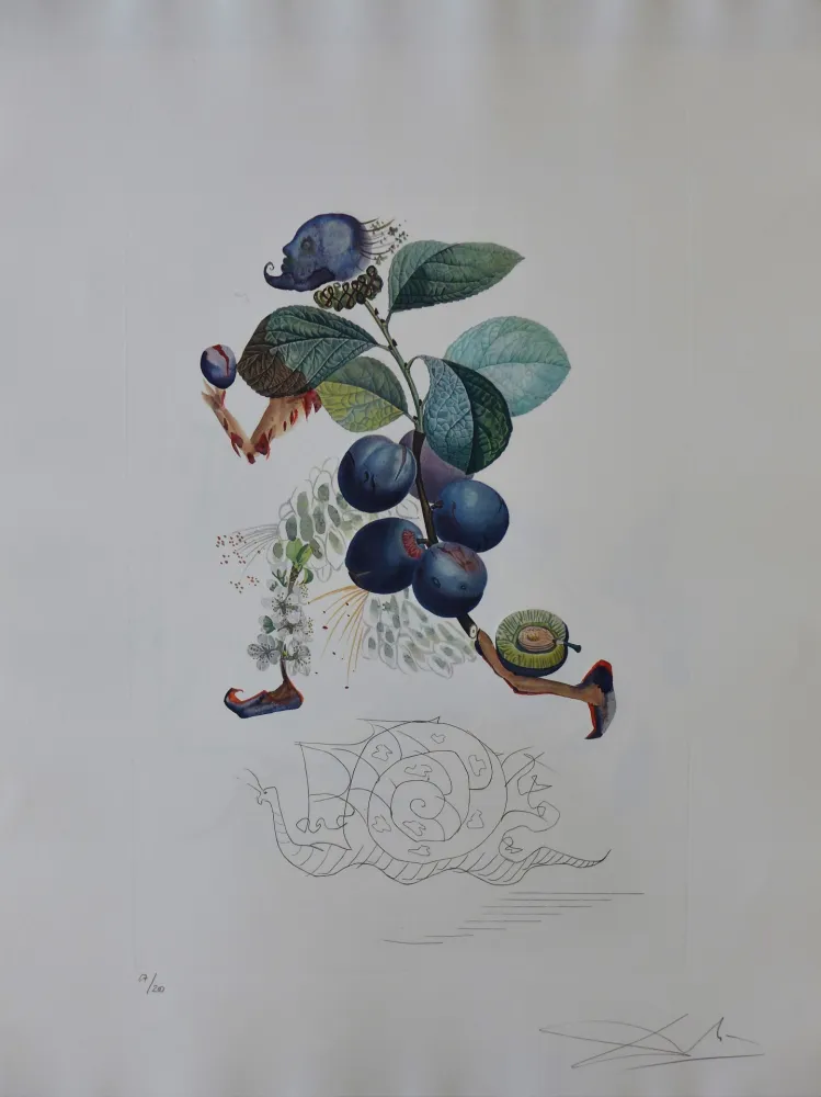 Grabado Dali - Flordali - Prunier Hatif