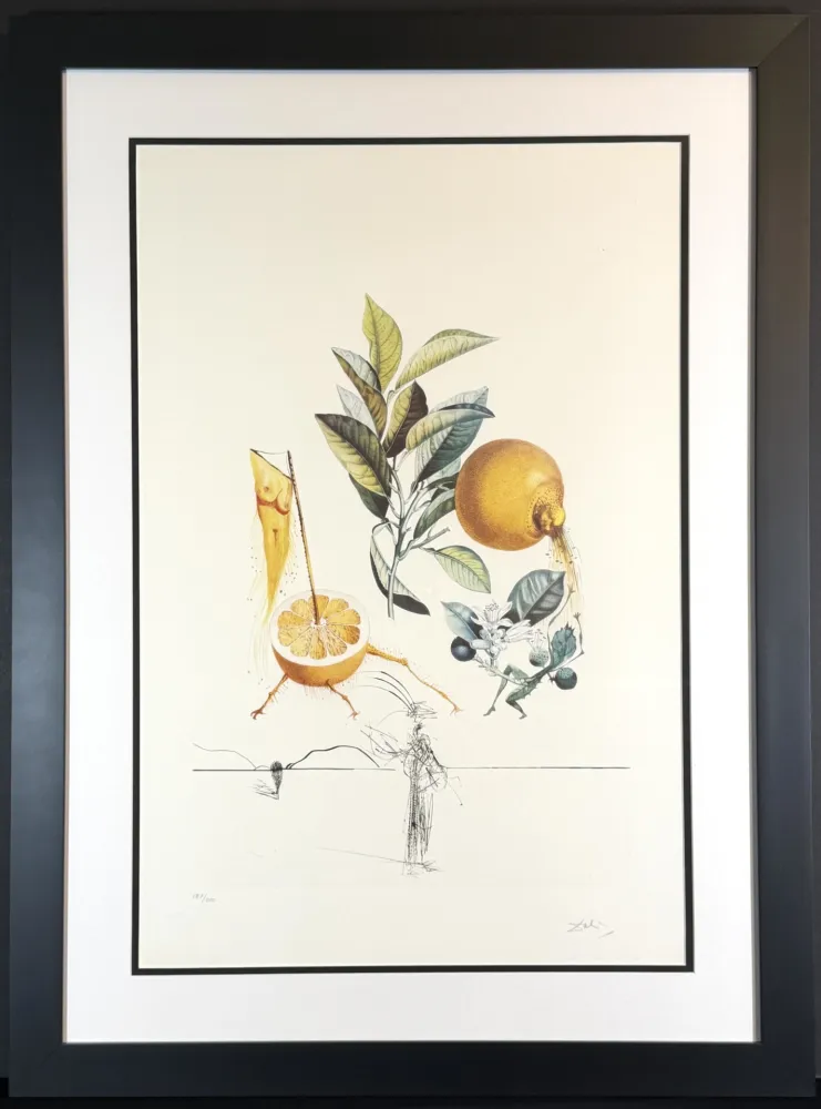 Grabado Dali - FlorDali/Les Fruits Grapefruit