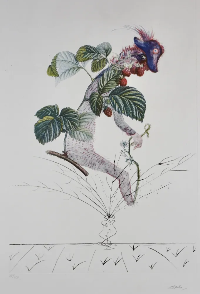 Grabado Dali - FlorDali/Les Fruits Raspberry