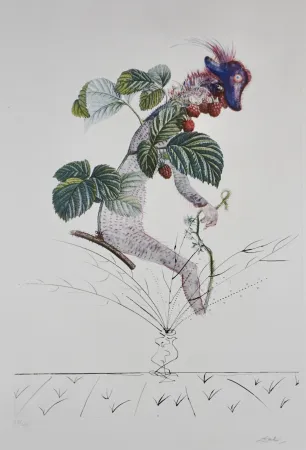 Grabado Dali - FlorDali/Les Fruits Raspberry