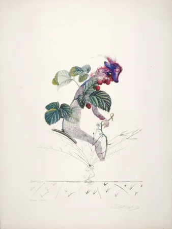 Múltiple Dali - Framboisier, 1969-1970 - Hand-signed!