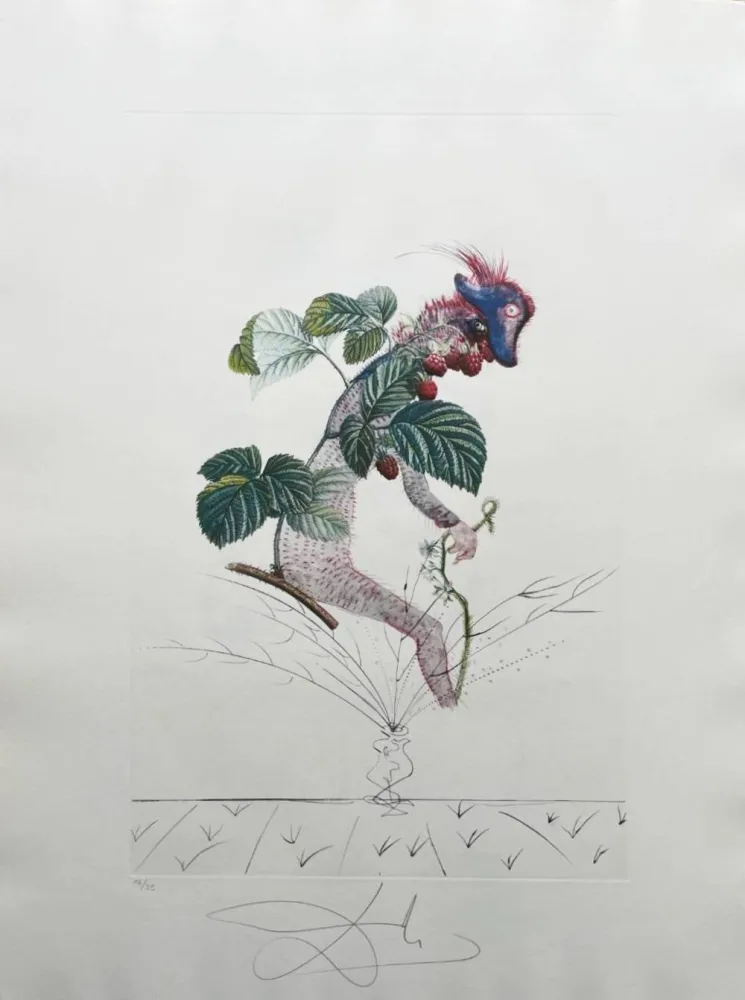 Litografía Dali - Framboisier (Raspberry Bush)