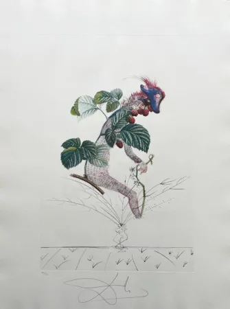 Litografía Dali - Framboisier (Raspberry Bush)