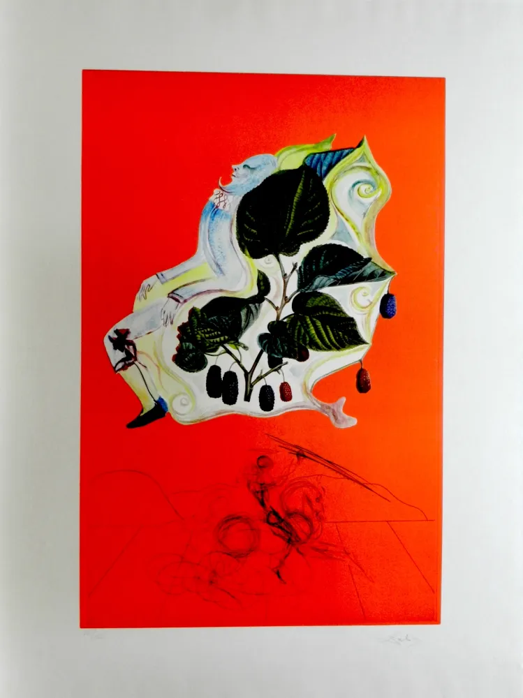 Grabado Dali - Fruits Blackberries