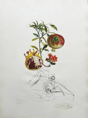 Litografía Dali - Grenade et l’ange (Pomegranate and Angel)