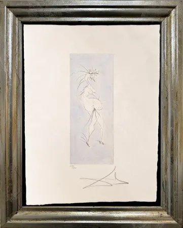 Sin Técnico Dali - Grotesque
