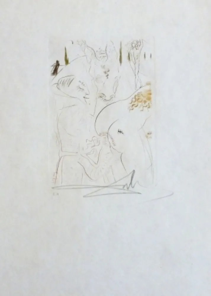 Punta Seca Dali - La jument de compère Pierre