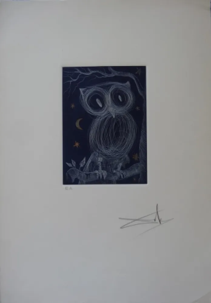Aguafuerte Dali - La petite chouette
