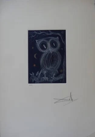 Aguafuerte Dali - La petite chouette