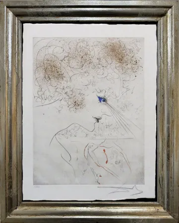 Punta Seca Dali - La Tête 