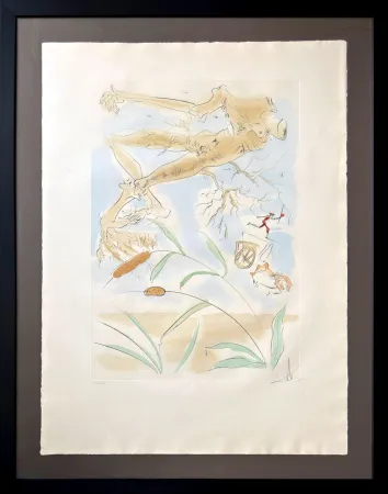 Aguafuerte Dali - Le Chêne et le Roseau (The Oak and the Reed)
