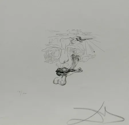 Grabado Dali - Les Chantes de Maldoror Carnal Transfiguration