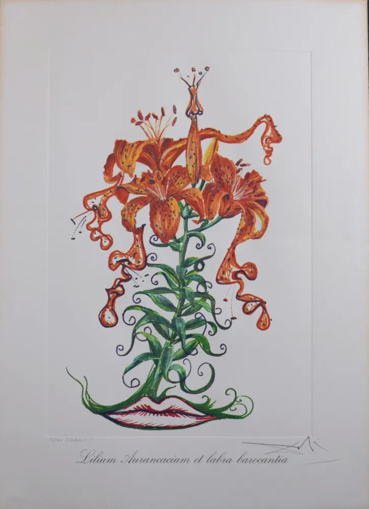Múltiple Dali - Lilium Aurancacium et labra barocantia, 1972 - Hand-signed!