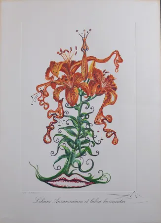 Múltiple Dali - Lilium Aurancacium et labra barocantia, 1972 - Hand-signed!