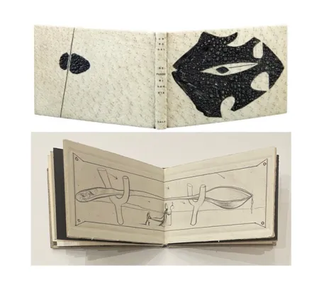 Libro Ilustrado Dali - ME PUDRE MI AGONIA