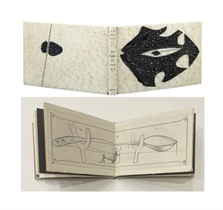 Libro Ilustrado Dali - ME PUDRE MI AGONIA