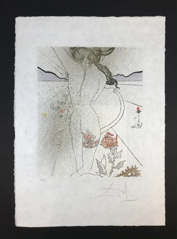 Múltiple Dali - Nu à la jarretiére ( Nude with Garter )