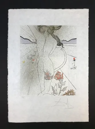 Múltiple Dali - Nu à la jarretiére ( Nude with Garter )