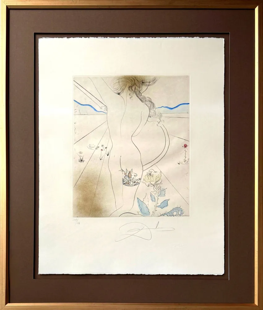 Punta Seca Dali - Nu à la jarretière (Nude with Garter)