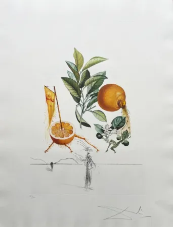Litografía Dali - Pamplemousse érotique (Erotic Grapefruit)
