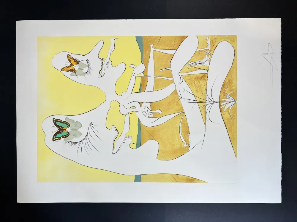 Múltiple Dali - Papillons de l’anti-matière