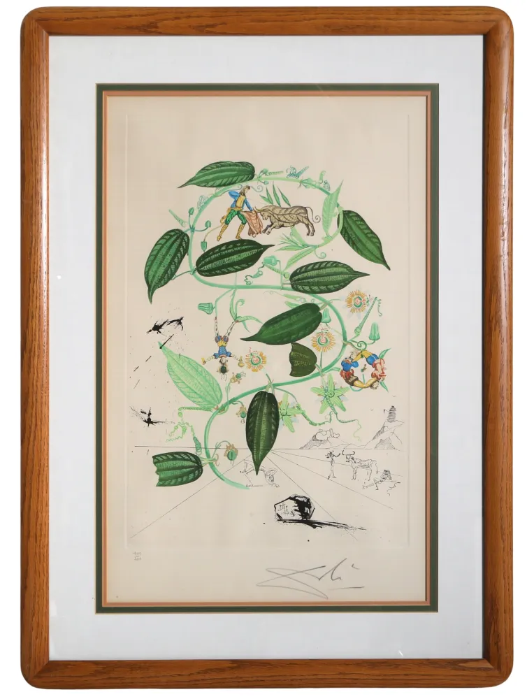 Grabado Dali - Passiflora Laurigera