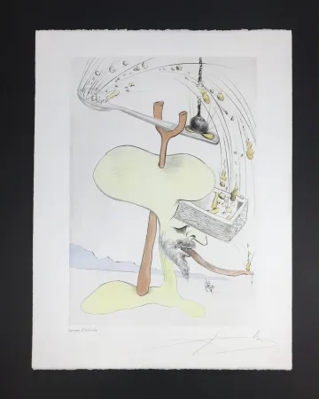 Múltiple Dali - Quevedos Visiones