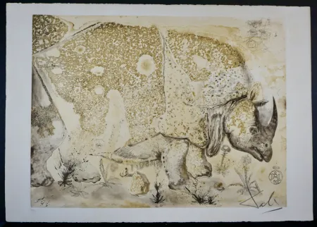 Grabado Dali - Rhinoceros