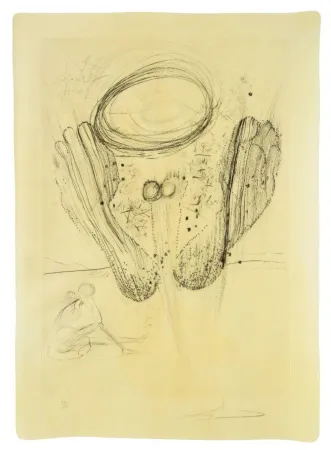 Punta Seca Dali - Sa symetrie n'appartenaint ni au hasard.