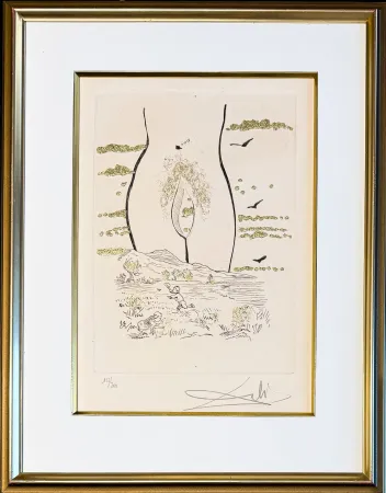 Grabado Dali - Salvador Dalí (1904–1989)- A l'Éternelle madame (To the Eternal Madame) - Drypoint, etching hand coloured and gilded on Arches paper - 1974