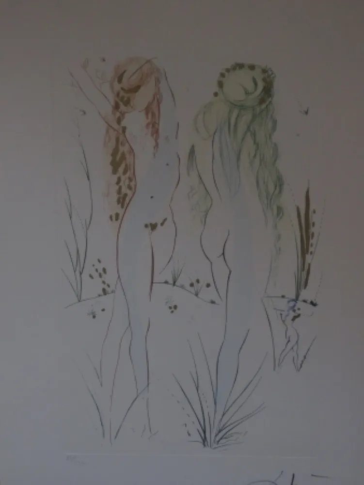 Aguafuerte Y Aguatinta Dali - Sans titre