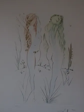 Aguafuerte Y Aguatinta Dali - Sans titre