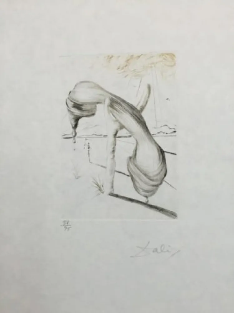 Punta Seca Dali - Teléphone Mou