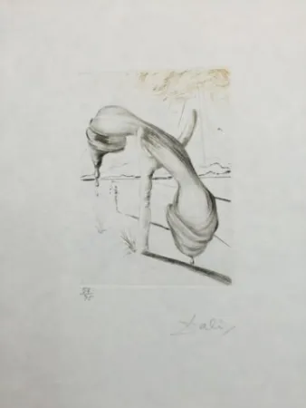 Punta Seca Dali - Teléphone Mou