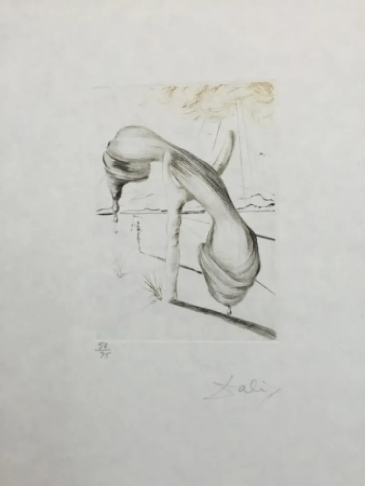 Aguafuerte Y Aguatinta Dali - Telephone mou