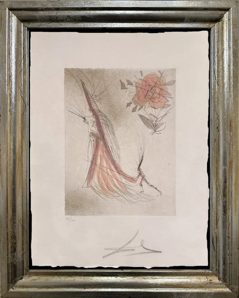 Punta Seca Dali - The Ghost and the Rose (The Spectre and the Rose)